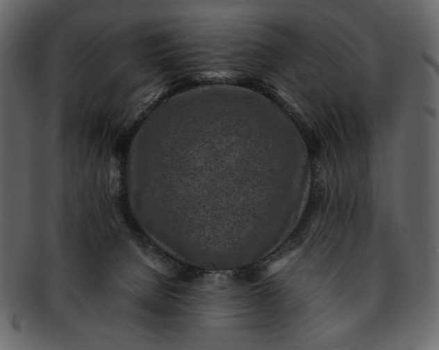 X0000093230080200710171428