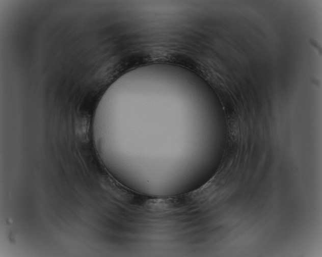 X0000093230082200710171428