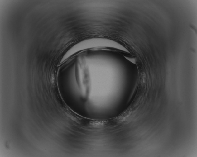 X0000093230084200710171428