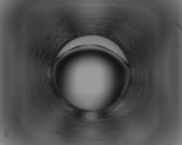 X0000093230088200710171428