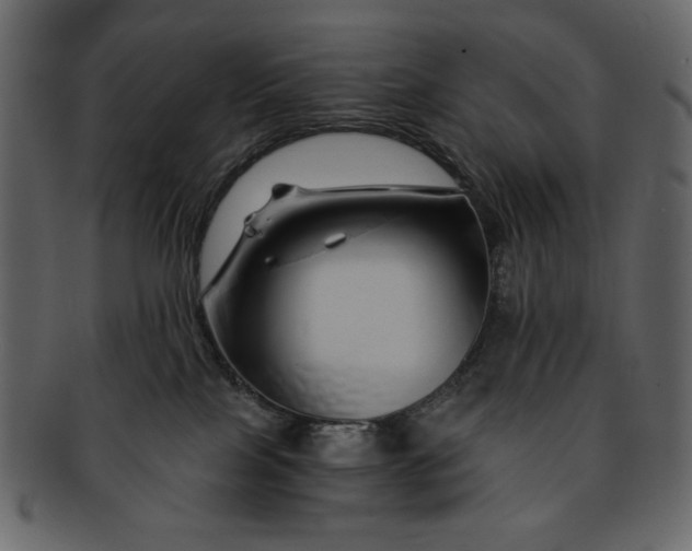 X0000093230089200710171428