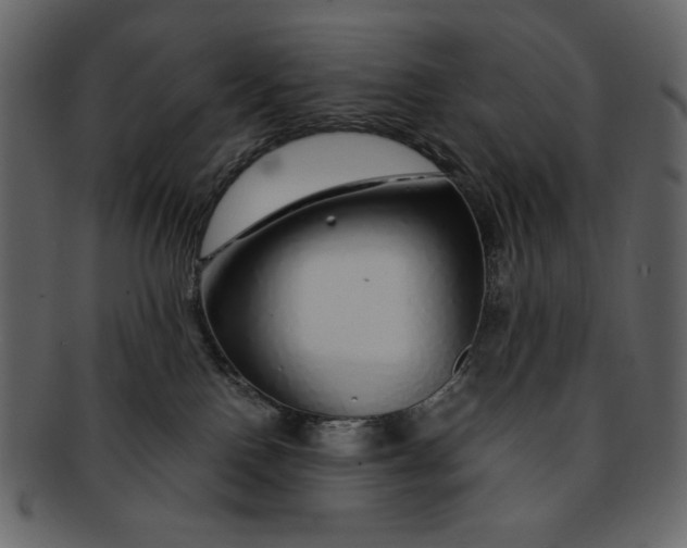 X0000093230090200710171428