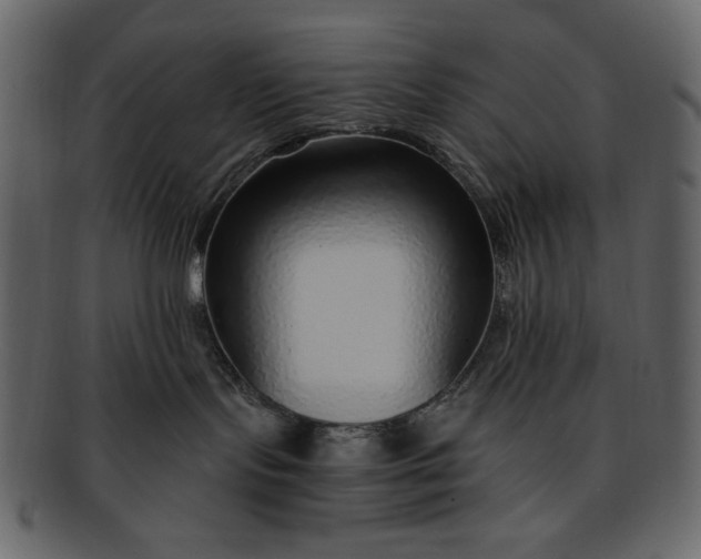 X0000093230095200710171428