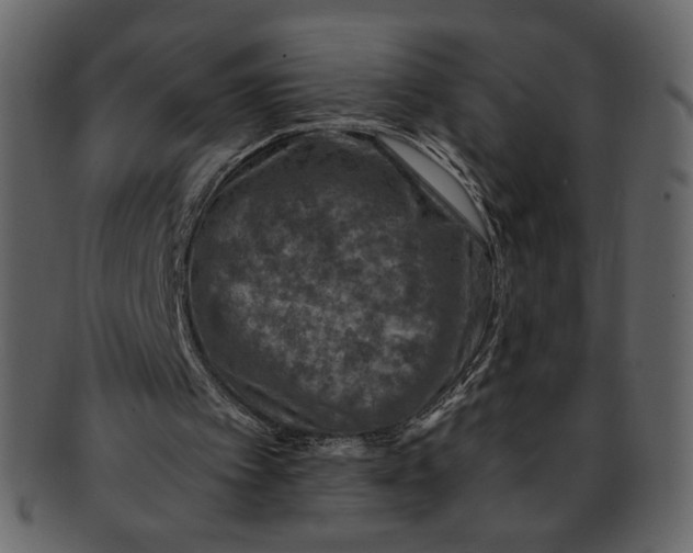 X0000093230097200710171427