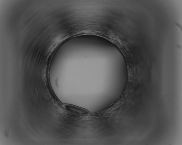 X0000093230098200710171427