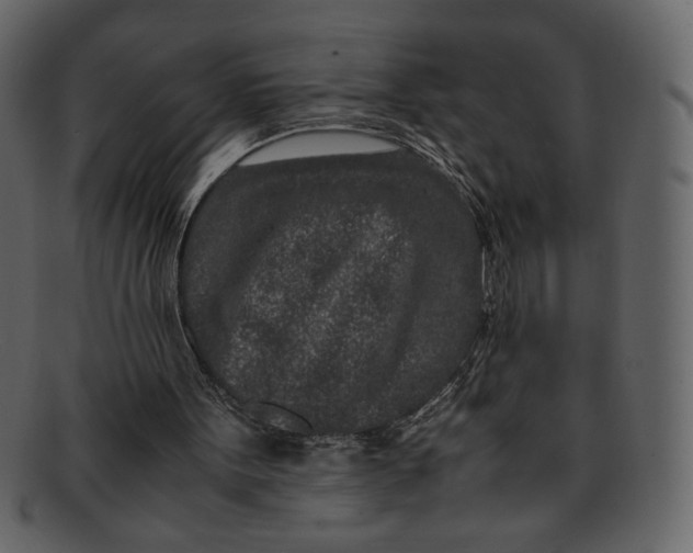 X0000093230099200710171427