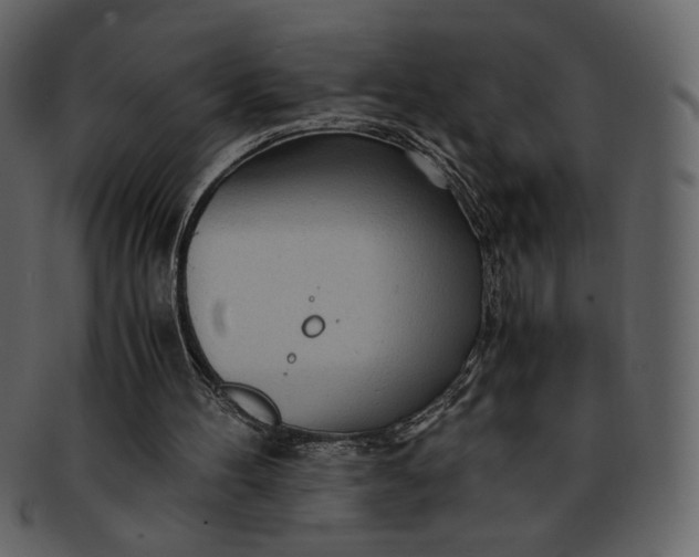 X0000093230100200710171427