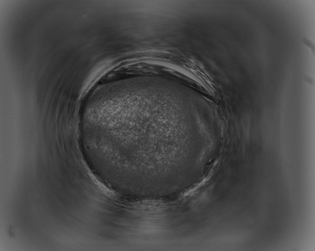 X0000093230101200710171427