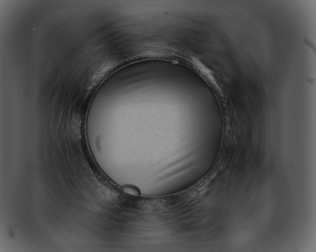 X0000093230106200710171427