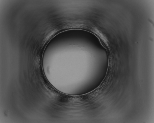 X0000093230107200710171427