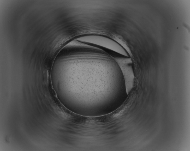 X0000093230109200710171427