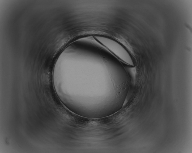 X0000093230111200710171427