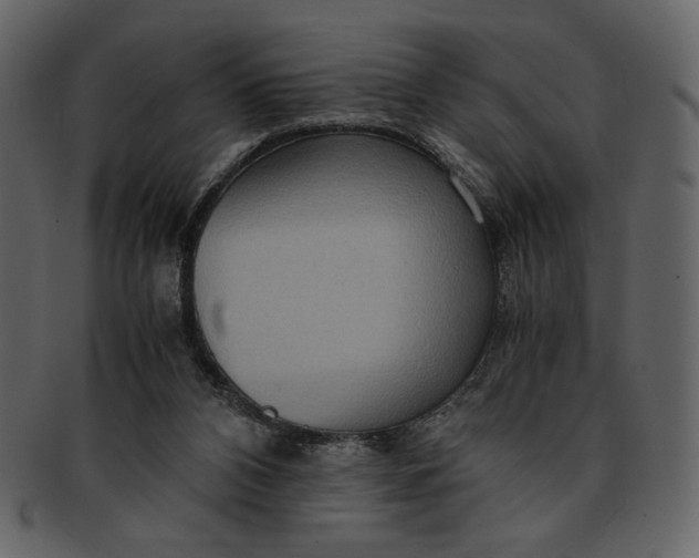 X0000093230112200710171427