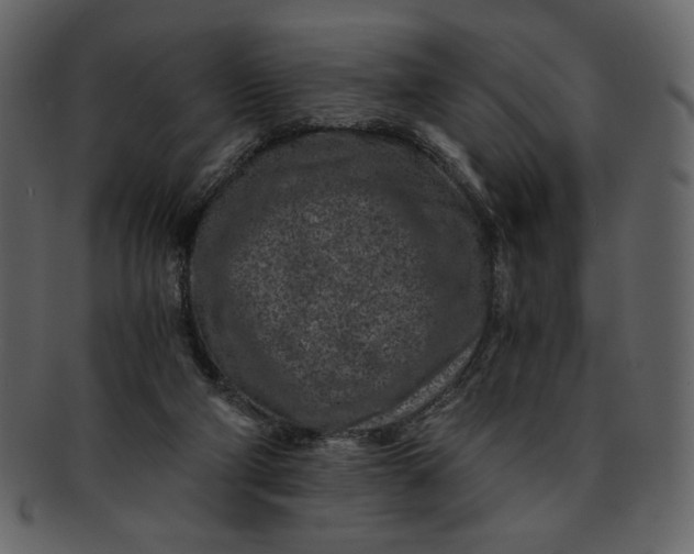 X0000093230114200710171427