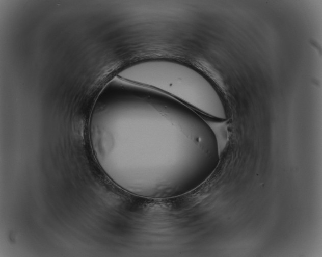 X0000093230115200710171427