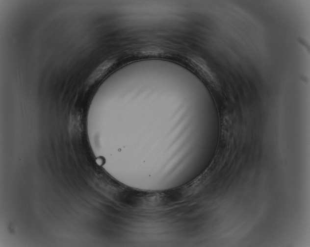 X0000093230116200710171427