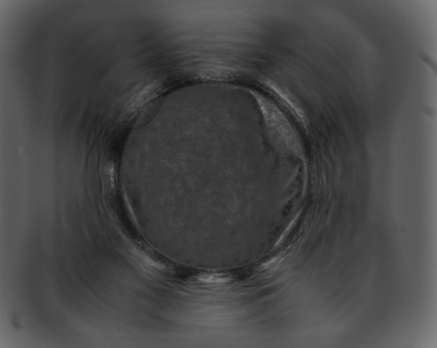 X0000093230117200710171427