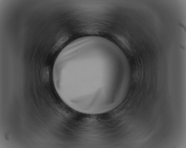 X0000093230120200710171427