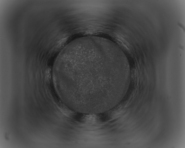 X0000093230127200710171427