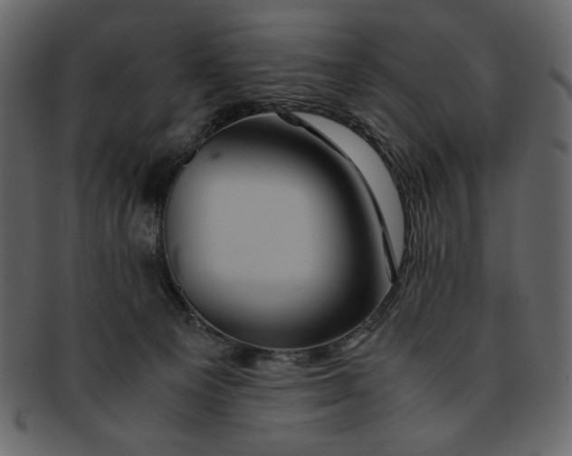 X0000093230129200710171427