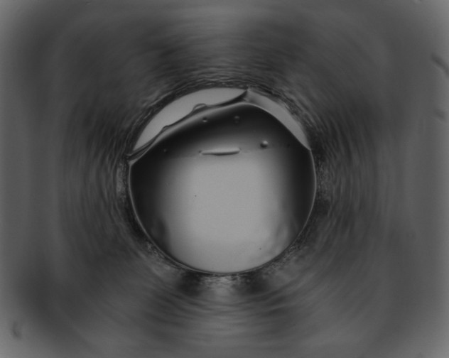 X0000093230131200710171427