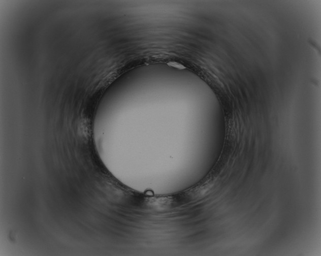 X0000093230135200710171427