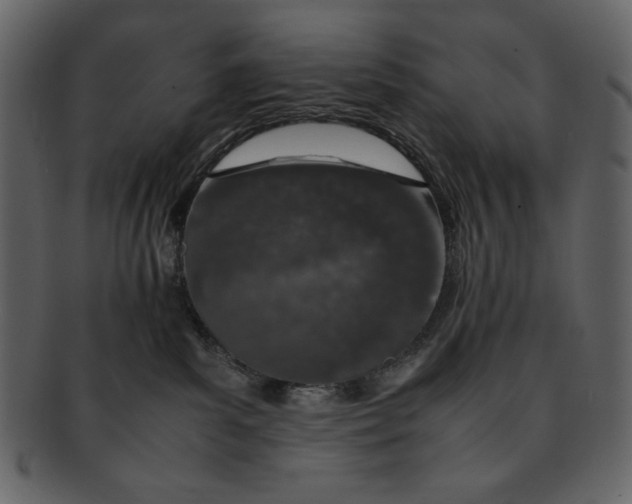 X0000093230139200710171427