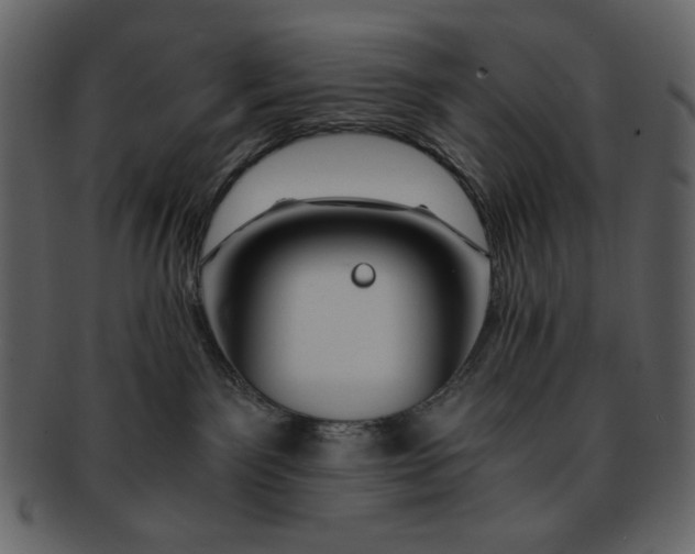 X0000093230141200710171427