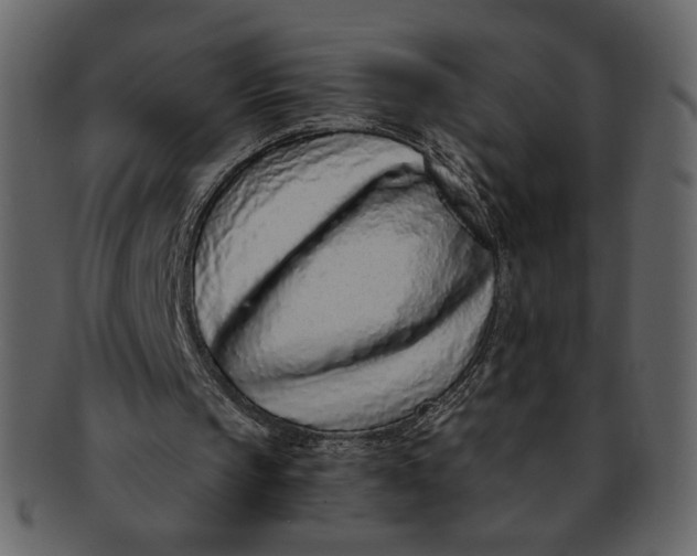 X0000093230145200710171426