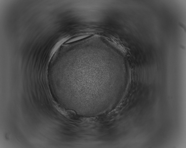 X0000093230147200710171426