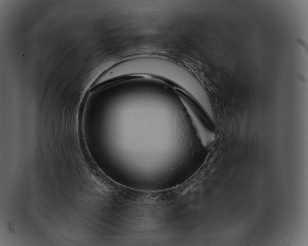 X0000093230148200710171426