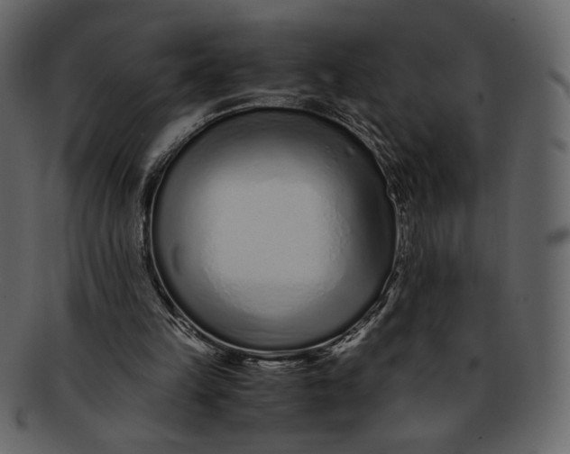 X0000093230149200710171426