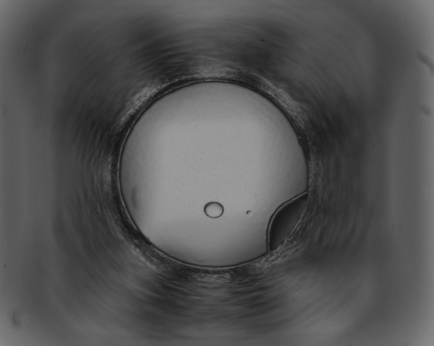 X0000093230155200710171426