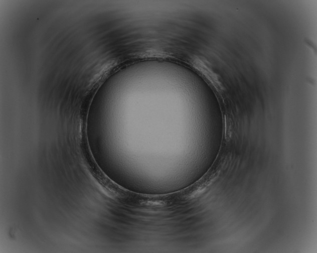 X0000093230157200710171426