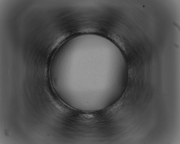 X0000093230159200710171426