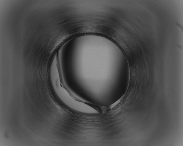 X0000093230160200710171426