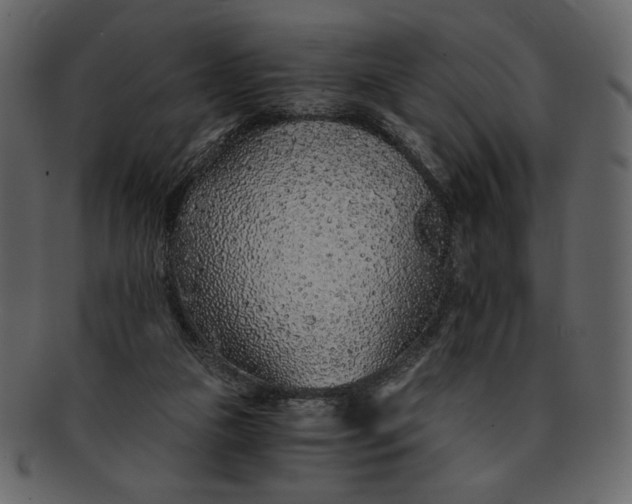 X0000093230161200710171426