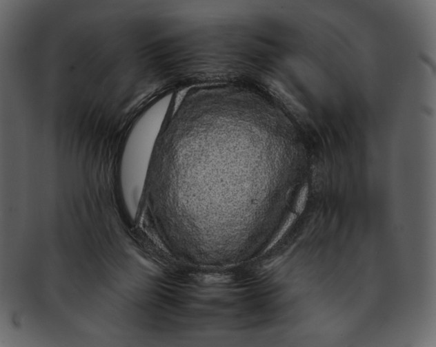 X0000093230165200710171426