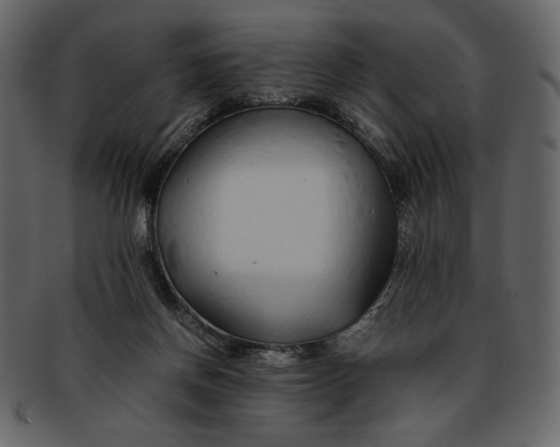 X0000093230166200710171426