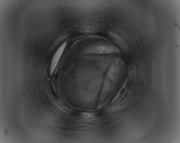 X0000093230167200710171426