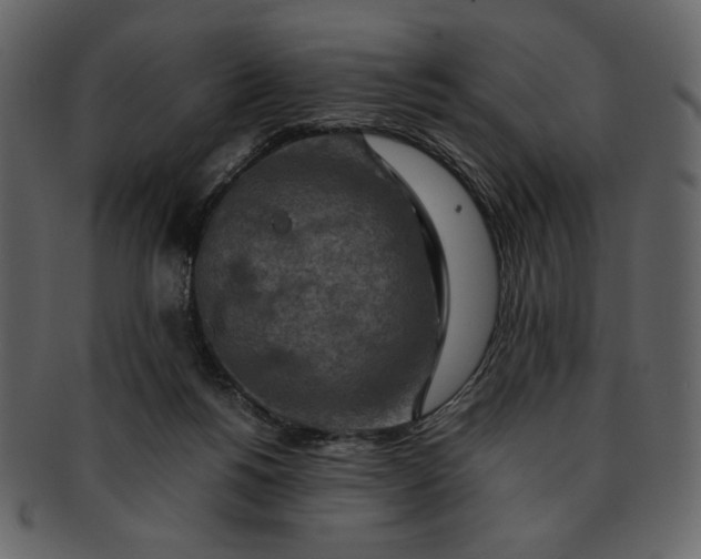 X0000093230168200710171426