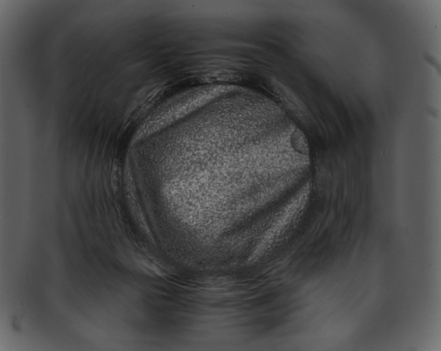 X0000093230169200710171426