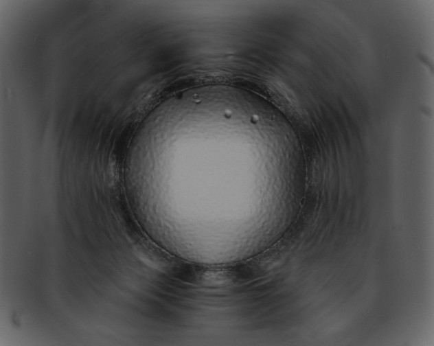 X0000093230173200710171426