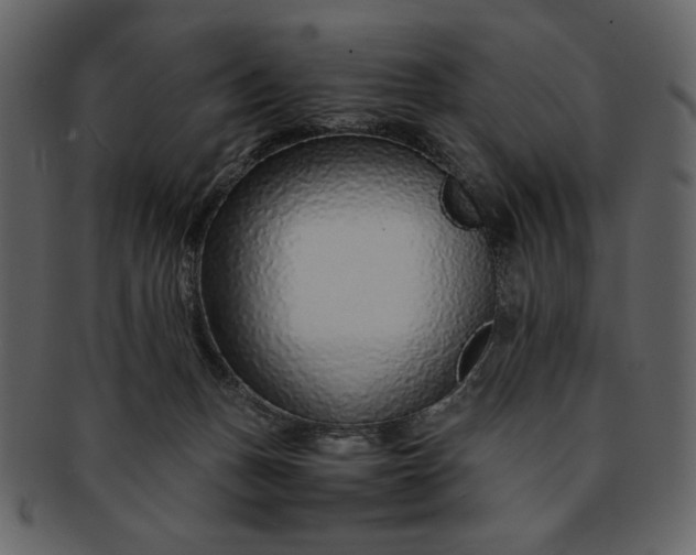 X0000093230175200710171426