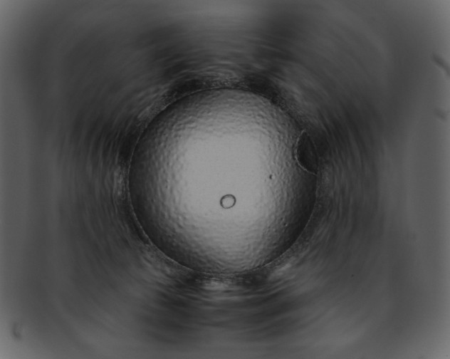 X0000093230177200710171426