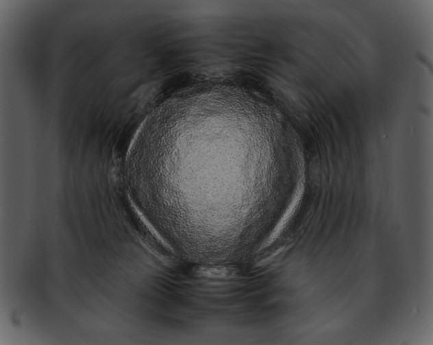 X0000093230181200710171427