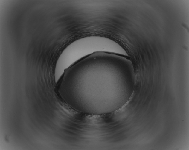 X0000093230186200710171427