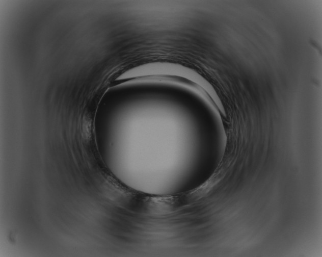 X0000093230188200710171427