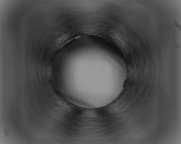 X0000093230189200710171427