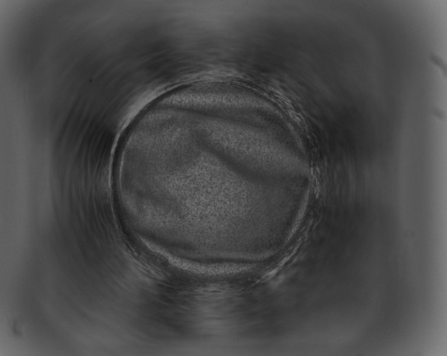 X0000093230196200710171426